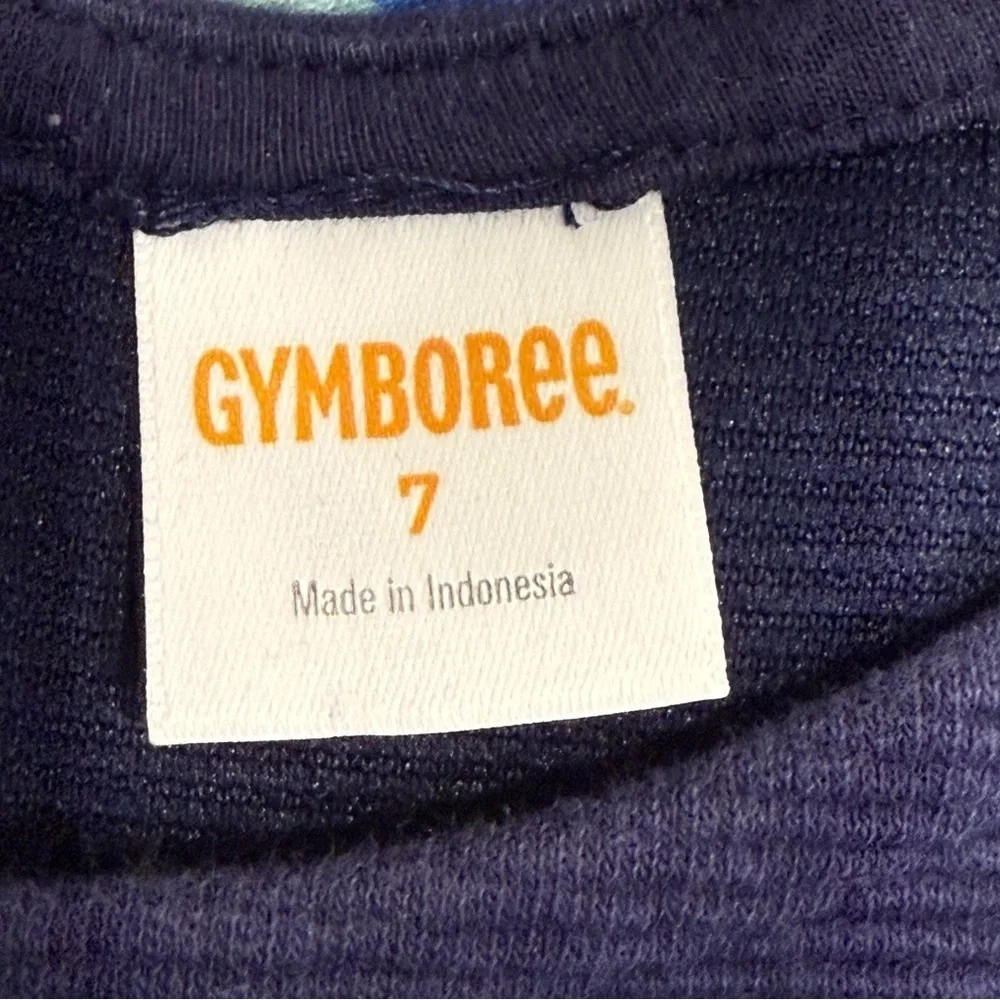 Gymboree dresses lot of 2 unicorn and stripes